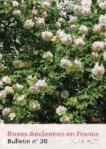 Bulletin Roses Anciennes en France n°30