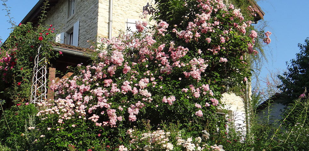 Le jardin du petit Cozance