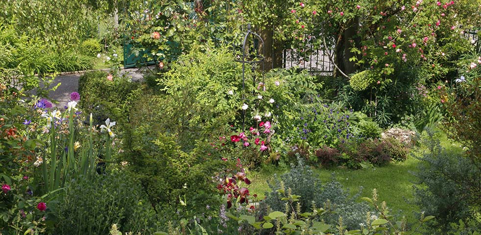 Le jardin des roses à Saint Romain au Mont d'Or