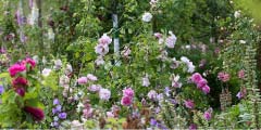 Jardin <i>La Rose Des Prairies</i>