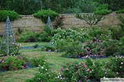 General view of the garden