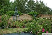 General view of the garden