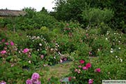 Vue générale du jardin