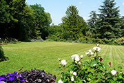 Vue générale du jardin