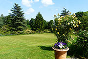 General view of the garden