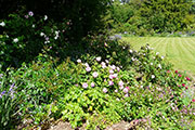 General view of the garden