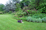 Vue générale du jardin