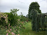 Le Jardin de Roses à Meyzieu