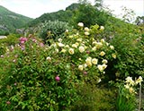 Jardin de l’herbe