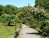 <i>Wildrosengarten</i> (Zweibrücken - Allemagne)