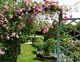 Le jardin de la Ferme bleue (Uttenhoffen)