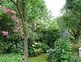 Le jardin de Manon et le jardin Coquelicot (Griesbach)