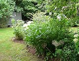 Le jardin de Manon et le jardin Coquelicot (Griesbach)