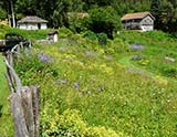 Le jardin de Berchigrange (Granges-sur-Vologne)