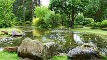 L'arboretum des Grandes Bruyères (Ingrannes)