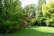 L'Arboretum de la Balaine (Villeneuve-sur-Allier)