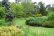 L'arboretum des Grandes Bruyères (Ingrannes)