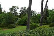 L'arboretum des Grandes Bruyères (Ingrannes)