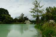 Le parc du Manoir de la Javelière