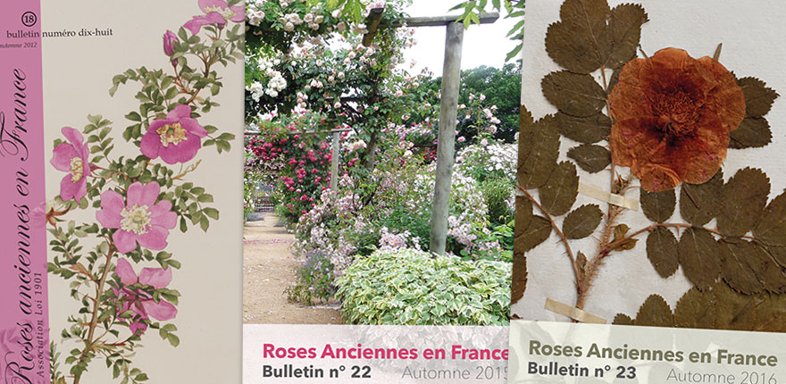 bulletin annuel de l'association Roses Anciennes en France