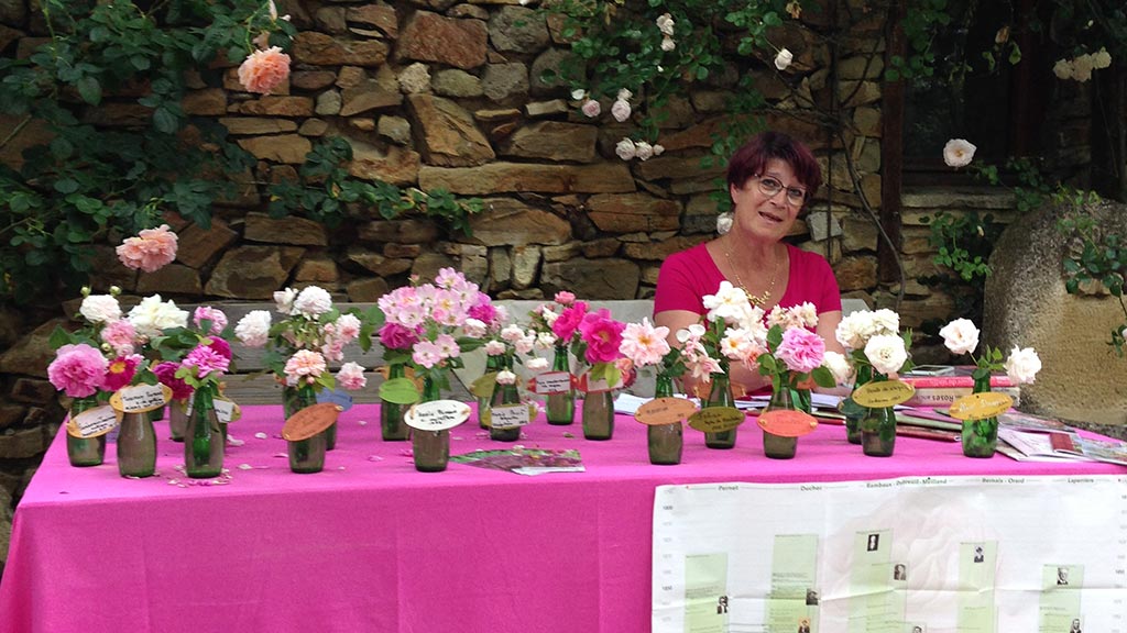 stand de Roses Anciennes en France sur une fête des plantes