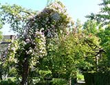Le jardin de Marguerite (Plobsheim)