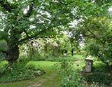 Le jardin de Martine Hetzel (Griesbach)