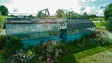 Le jardin de Francia THAUVIN