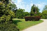 L'Arboretum de la Balaine (Villeneuve-sur-Allier)